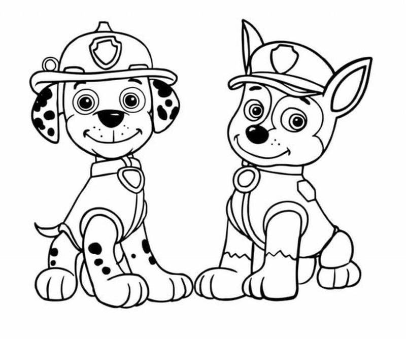 Ảnh minh họa nhân vật chó cứu hộ Paw Patrol
