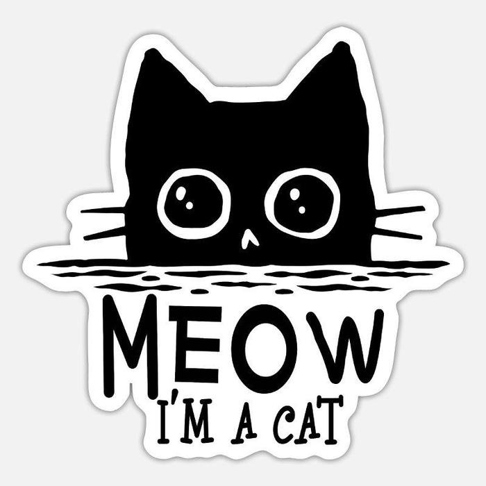 Ảnh sticker màu trắng đen cute thích hợp dán đồ dùng nhỏ