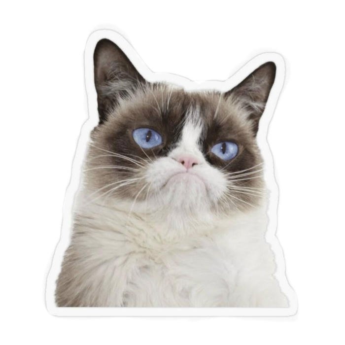Ảnh sticker mèo mô phỏng hành động ngộ nghĩnh