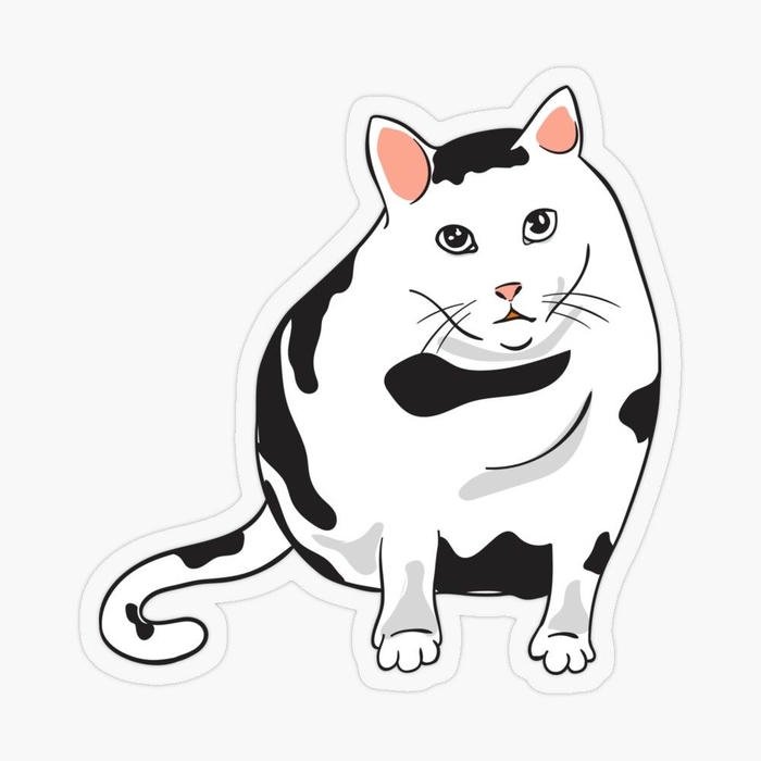 Ảnh sticker mèo tạo không khí trò chuyện thoải mái