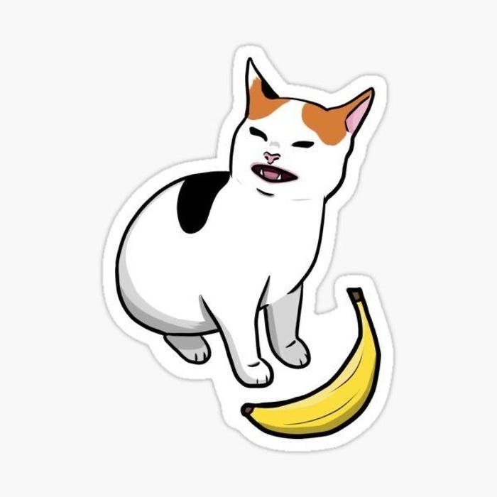 Bức ảnh sticker mèo giúp truyền đạt cảm xúc