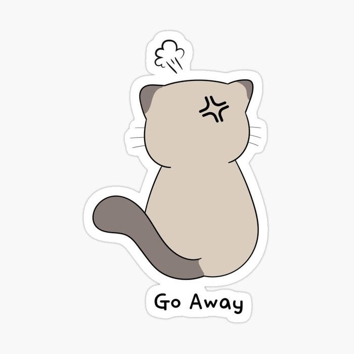 Bức ảnh sticker mèo làm nổi bật tin nhắn