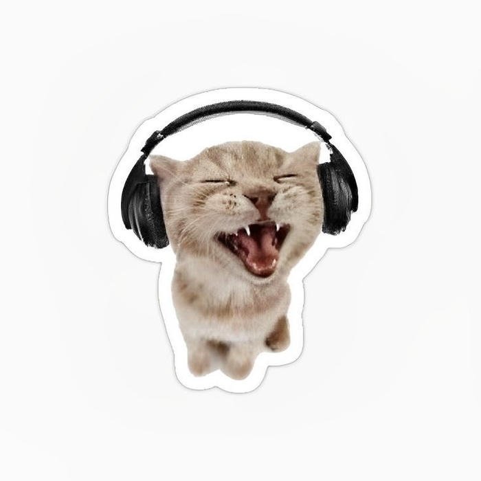 Bức hình sticker mèo mang cảm giác vui tươi