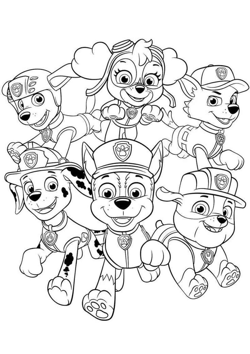 Bức phác họa chú chó Paw Patrol mỉm cười