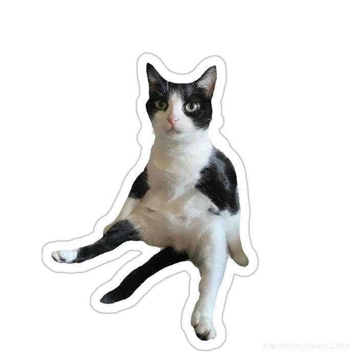 Dạng nội dung hay xuất hiện trong chat nhóm