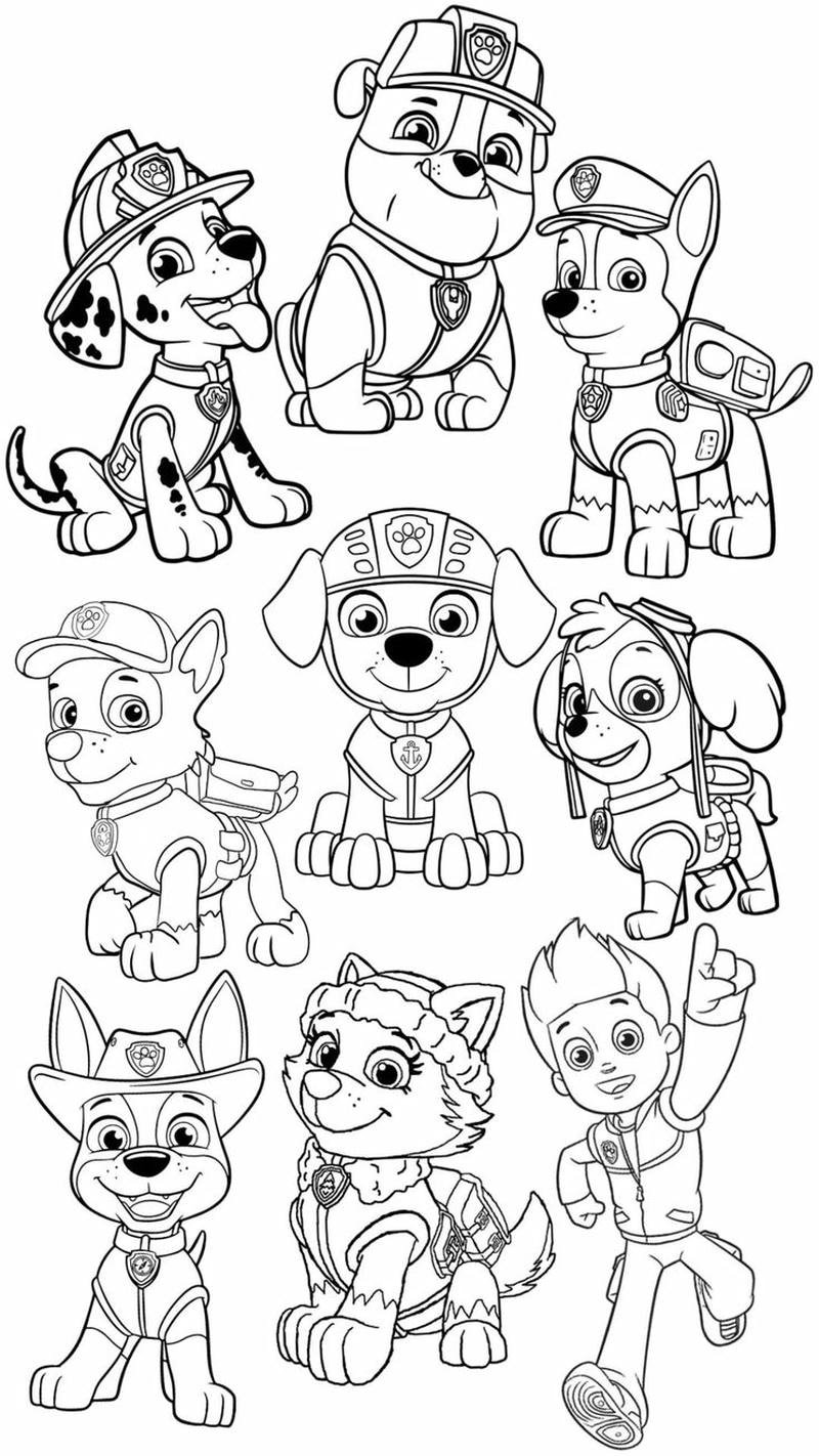 Hình ảnh nhân vật Paw Patrol trắng đen