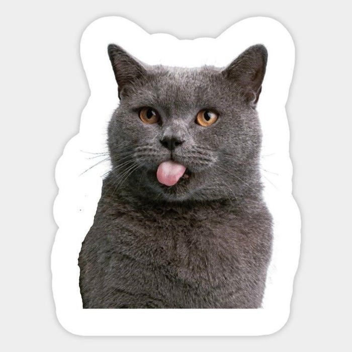 Hình ảnh sticker mèo thiết kế theo kiểu doodle
