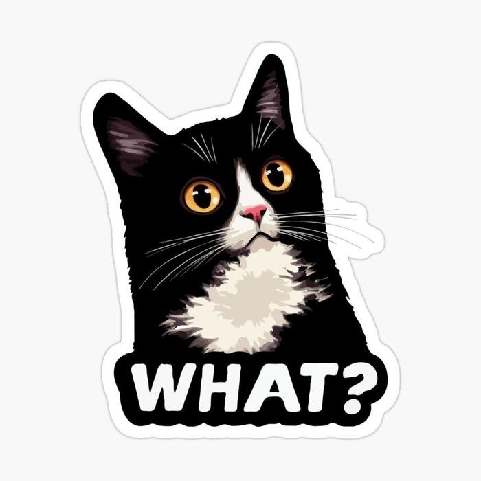 Hình sticker mèo có bố cục đơn giản dễ nhìn