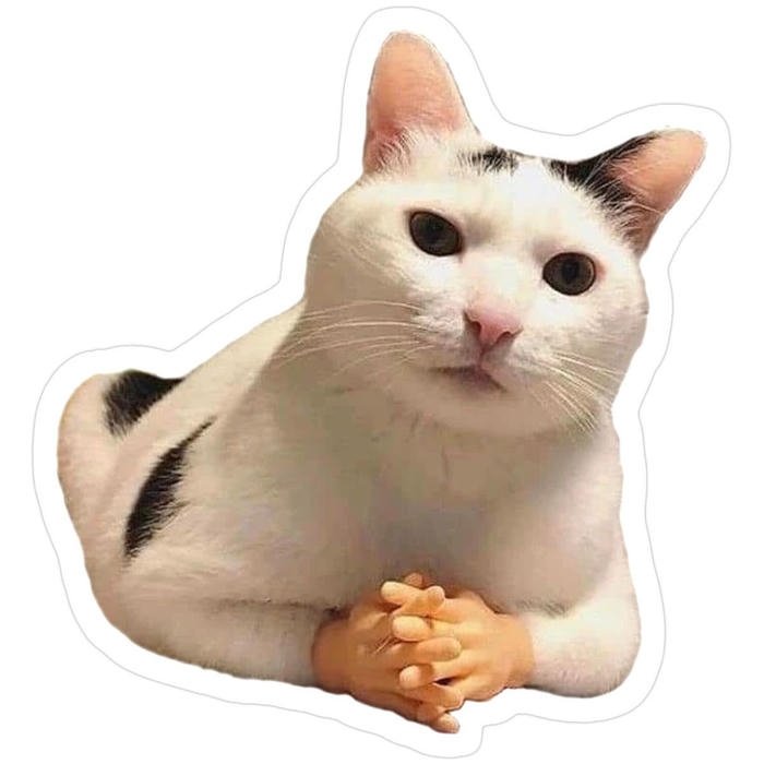 Hình sticker mèo tạo dáng tròn trịa dễ nhận biết