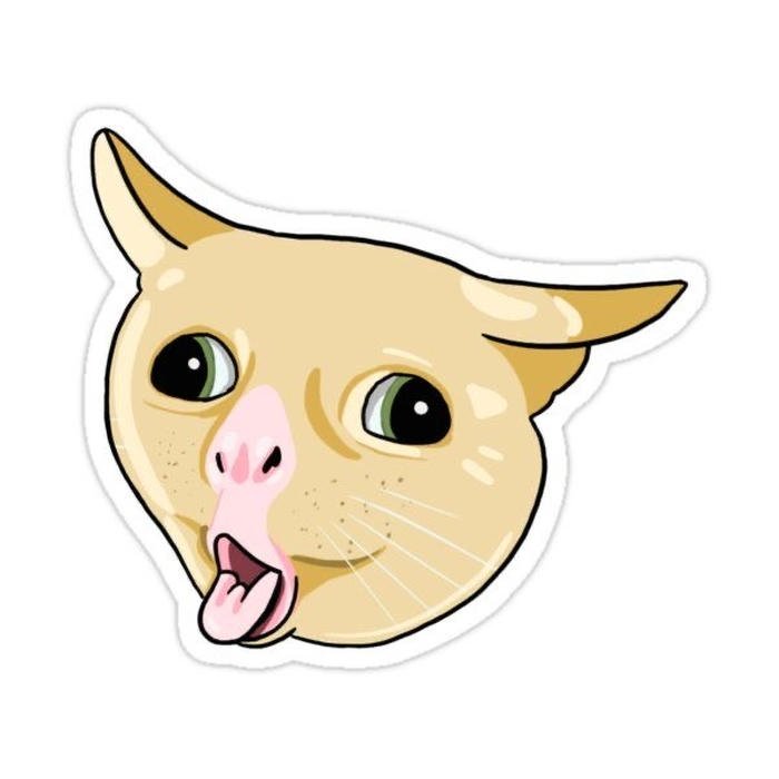 Hình sticker mèo tạo điểm nhấn cho cuộc trò chuyện