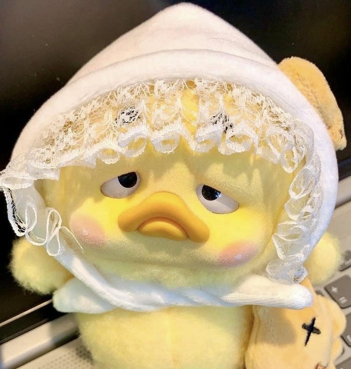 ảnh avatar vịt cute đáng yêu