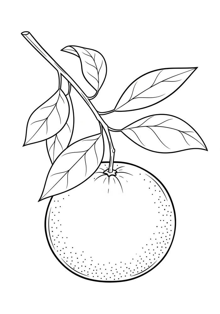 bức ảnh tô màu quả cam lớp vỏ nhám