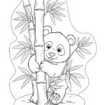 hình ảnh tranh tô màu con gấu trúc đáng yêu