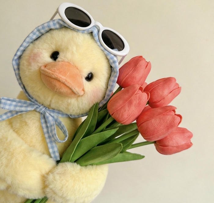 hình avatar vịt cute đáng yêu