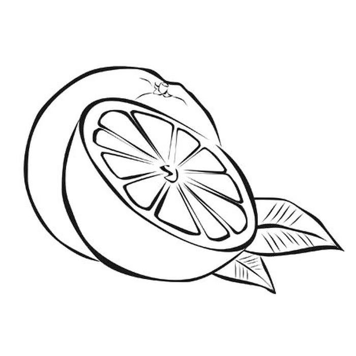 hình quả cam đơn giản cho trẻ