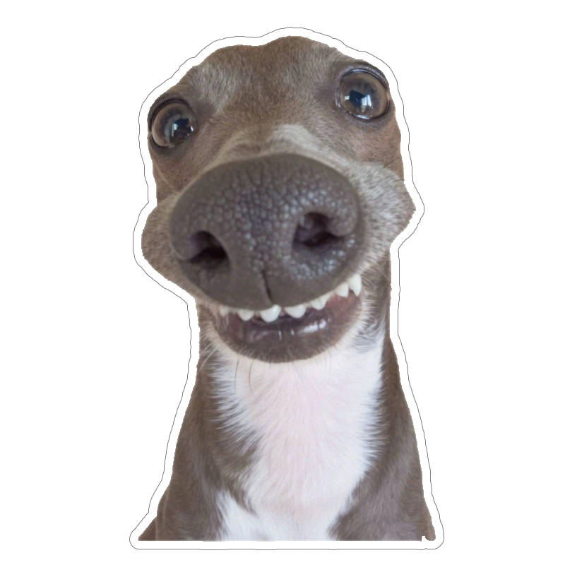 Ảnh sticker bựa hài mang phong cách meme ngắn cực vui nhộn