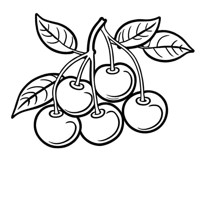 Hình tranh tô màu quả cherry chùm to