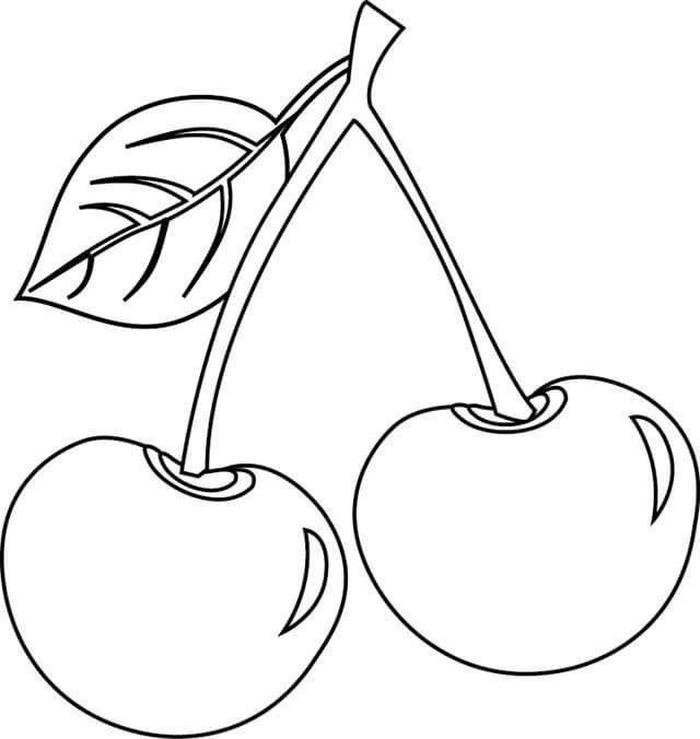 Hình tranh tô màu quả cherry đôi dính cuống cong