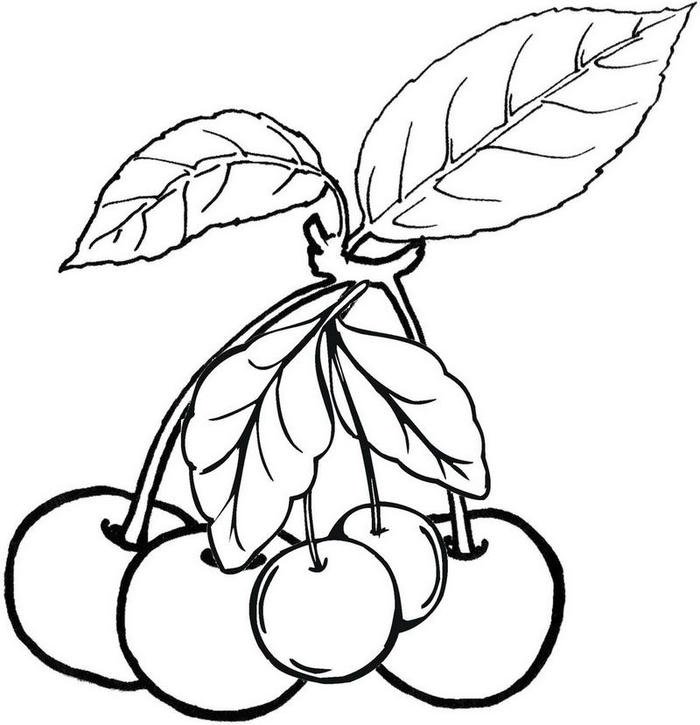 Hình tranh tô màu quả cherry từng chùm