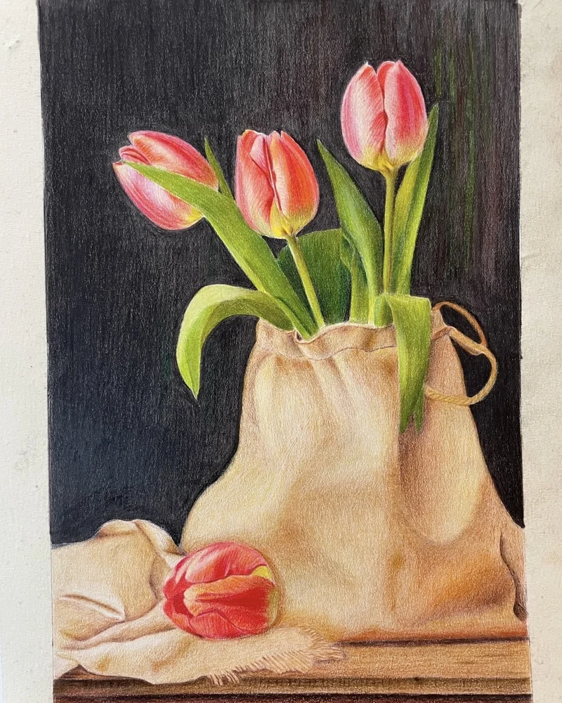 Hình vẽ tranh tĩnh vật hoa tulip với sắc hoa nổi bật