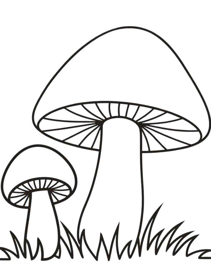 Nấm mũ tròn mọc trên nền cỏ xanh