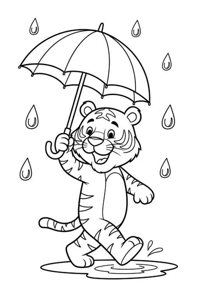Tranh tô màu con hổ đi dưới mưa.