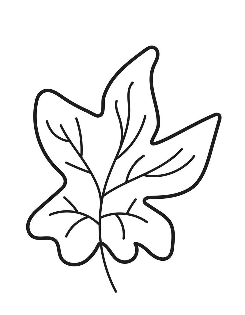Tranh tô màu lá cây dành cho trẻ em