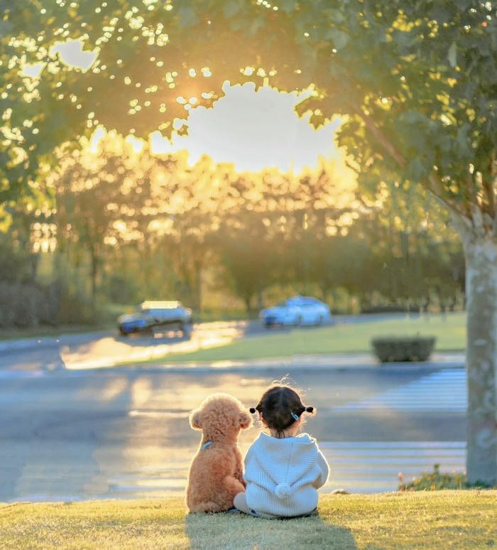 ảnh phong cảnh cute lãng mạn