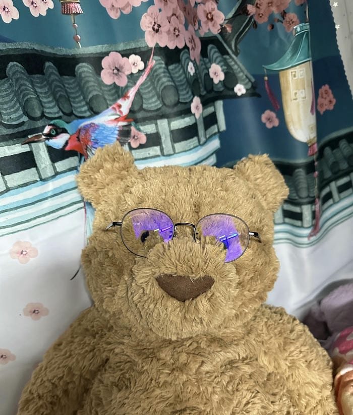 avatar gấu bông đeo kính dễ thương cute