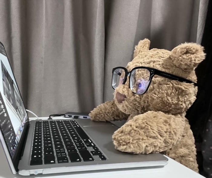 avatar gấu bông kính cute đáng yêu