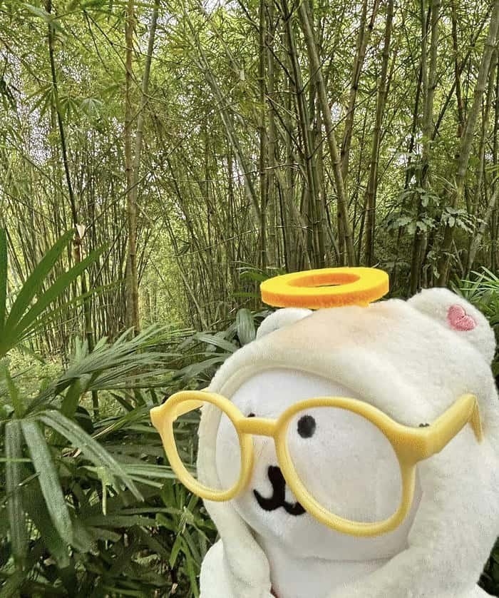 hình ảnh avatar gấu bông kính tròn