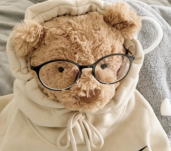 hình ảnh gấu bông đeo kính cute