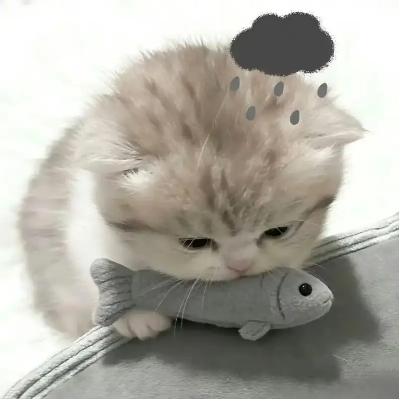 cute avatar mèo vô tri chất lượng cao